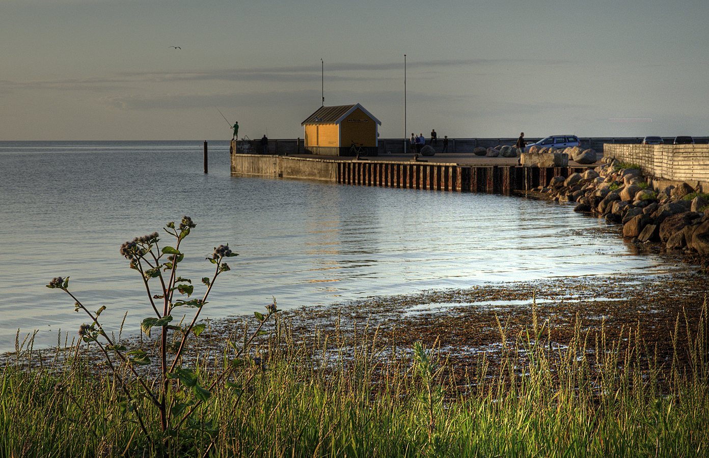 Landskaber fra Vestsjælland | Lammefjordens afvanding mm
